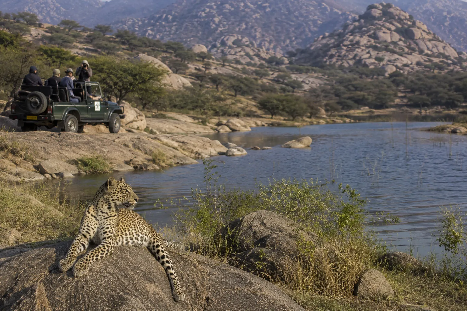 Jawai